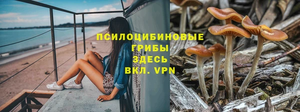 a pvp Абинск