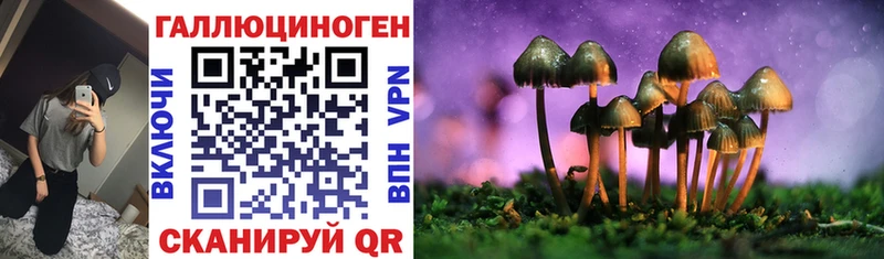 ссылка на мегу зеркало  Руза  Галлюциногенные грибы Cubensis 